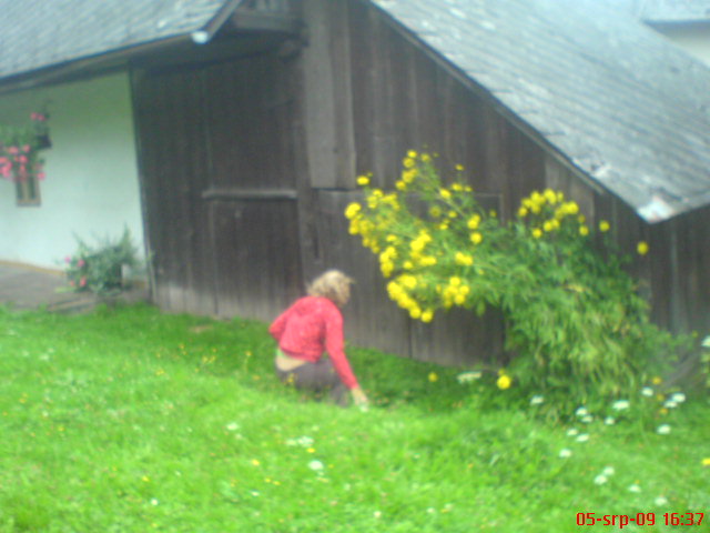 DSC02692.JPG